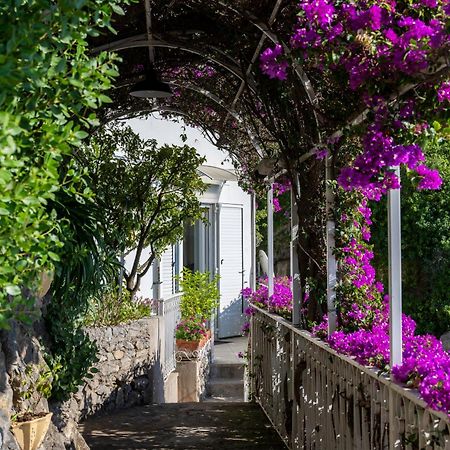 Casetta Arienzo Positano Eksteriør bilde